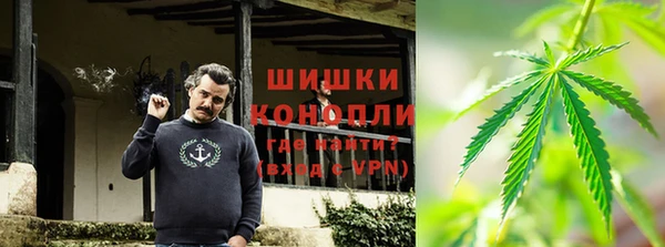 прущие крисы Новодвинск