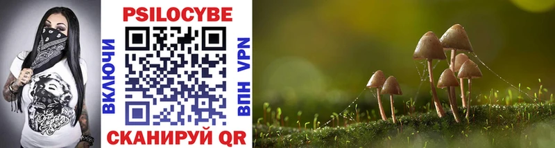 Псилоцибиновые грибы Psilocybe  Купить где  Хасавюрт